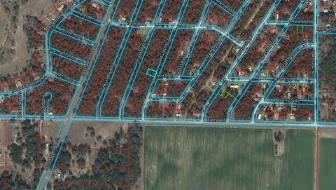 Land, WILLISTON, FL