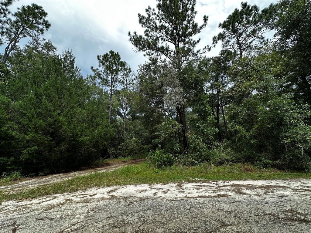 Picture 8