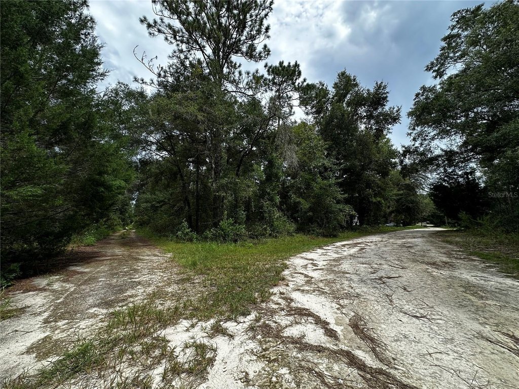 Picture 9