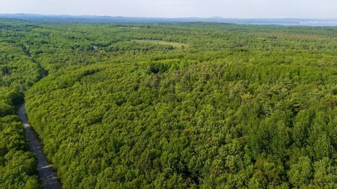 Northport, Maine Wooded Acreage