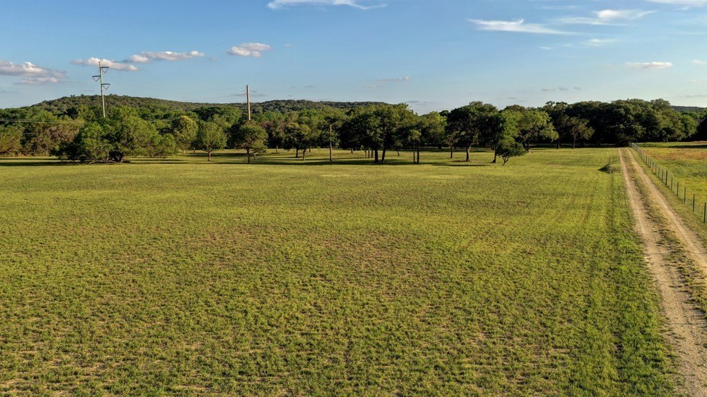 Picture 34