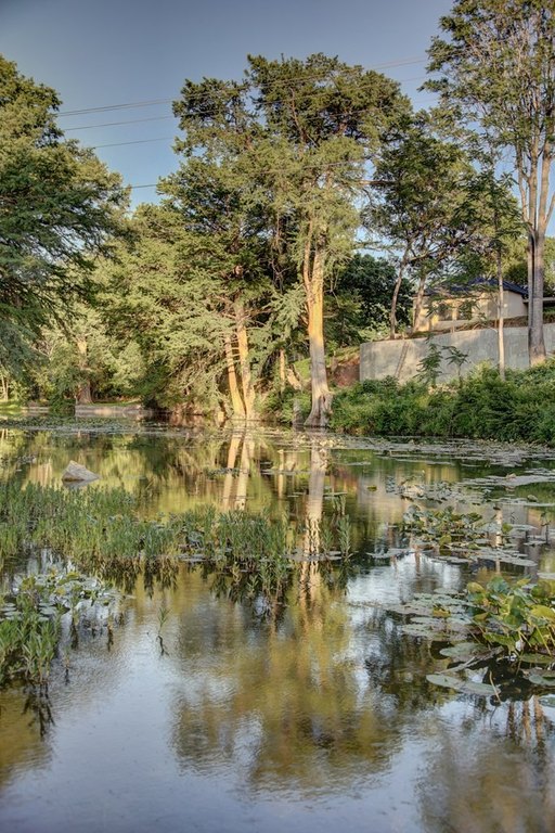 Picture 13