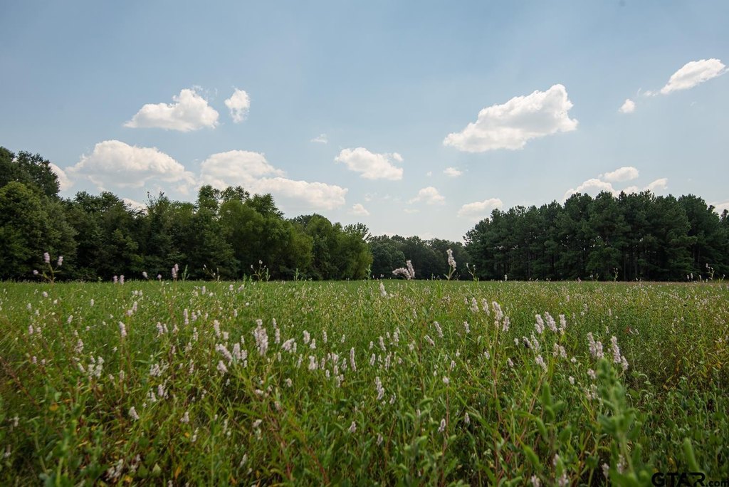 Picture 31