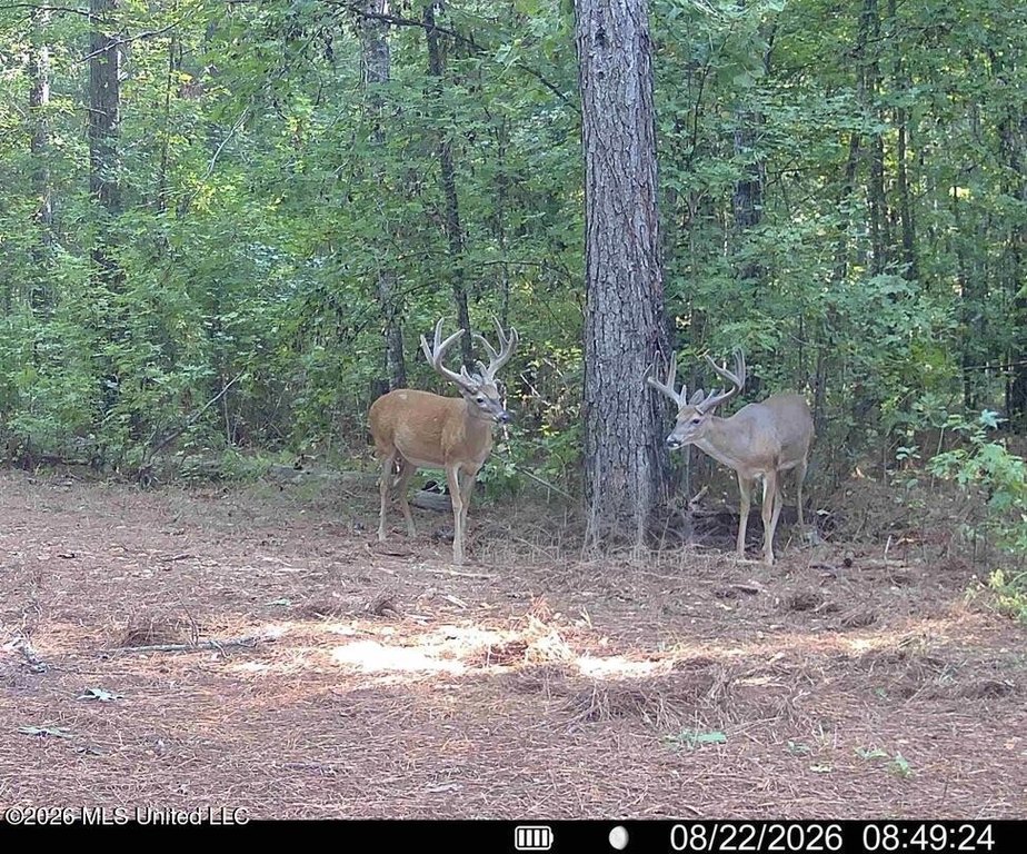 Picture 3