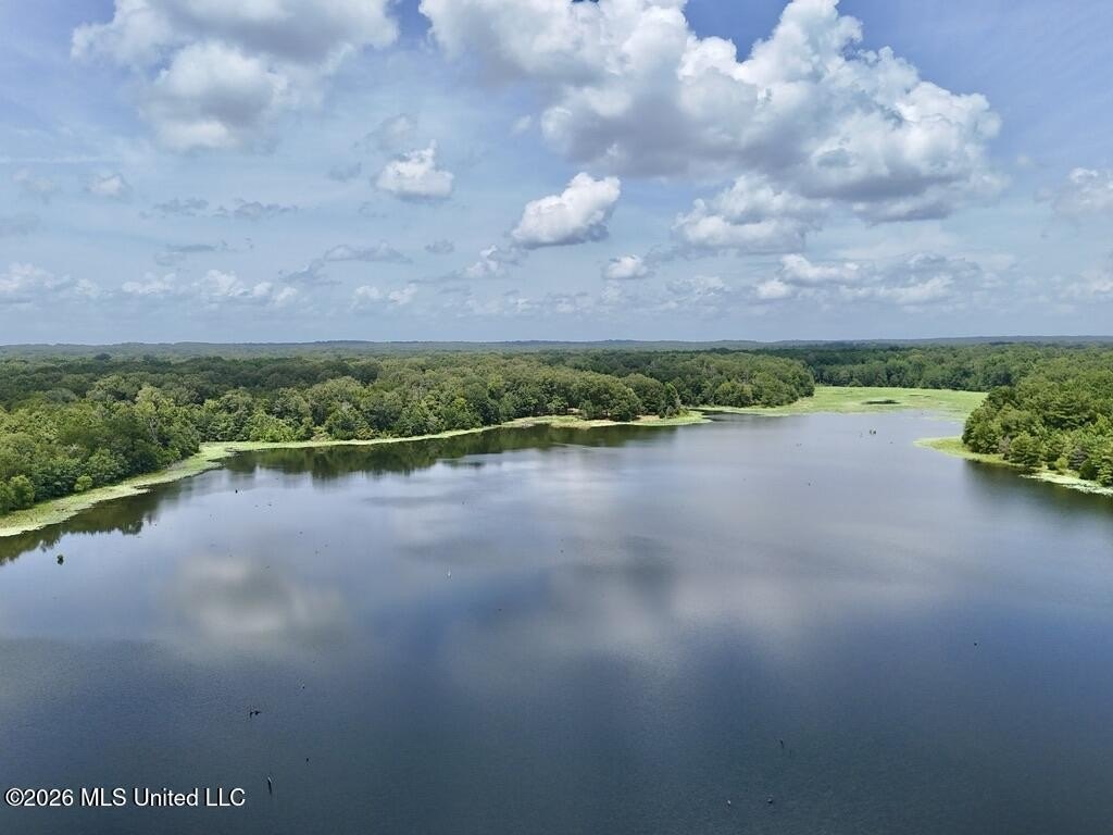 Picture 25
