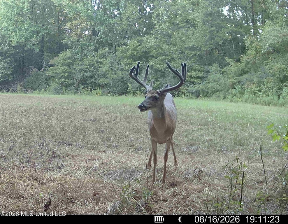 Picture 18