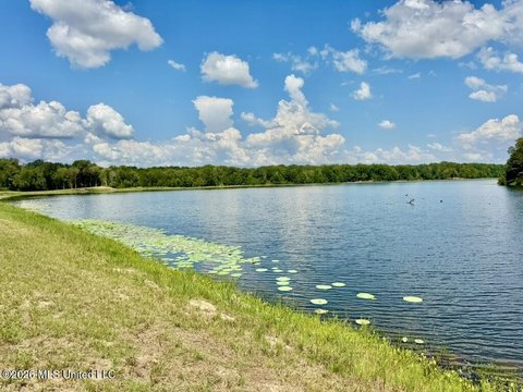 Land, Flora, MS