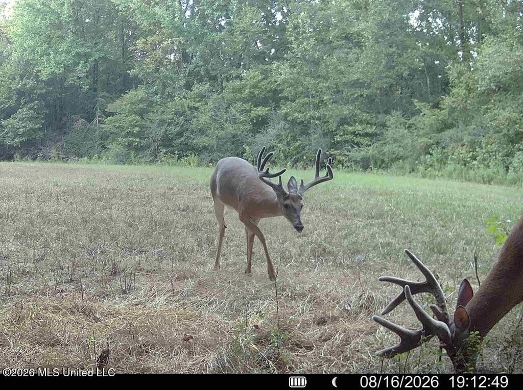 Picture 47