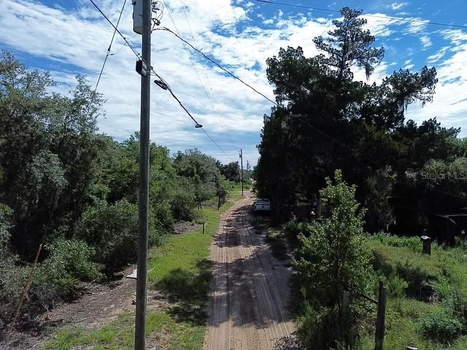 Picture 5