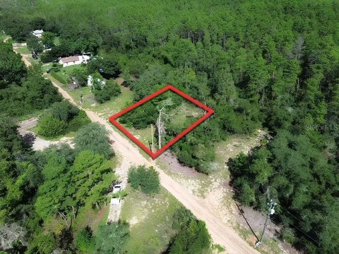 Land, UMATILLA, FL