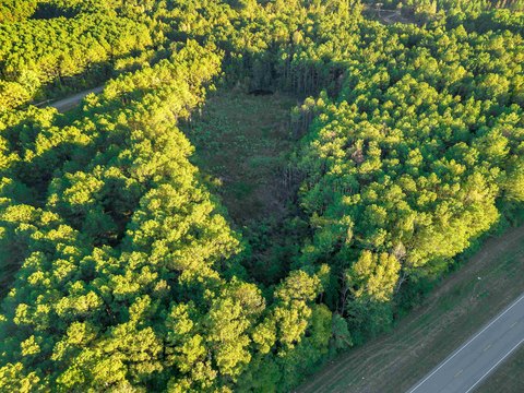 Land and Lots, Eldridge, AL