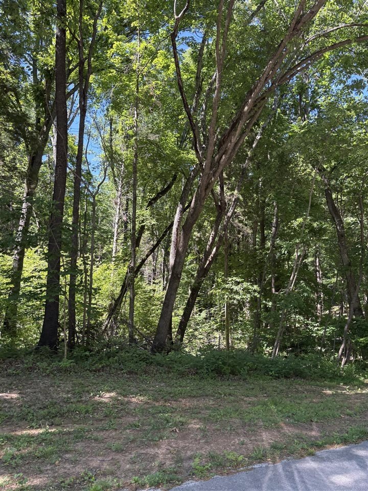 Residential Lot in Alvaton, KY