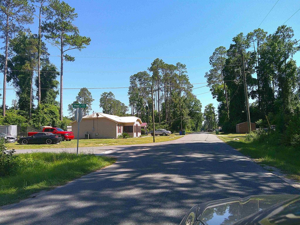 Picture 14