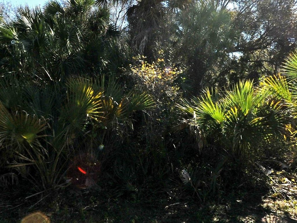 Picture 2