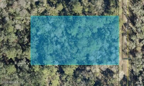Land, Hastings, FL