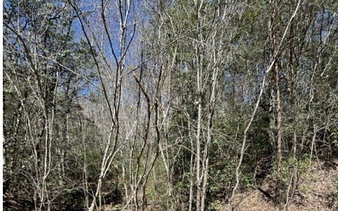 Picture 13