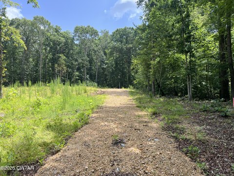 LAND - Cedar Grove, TN