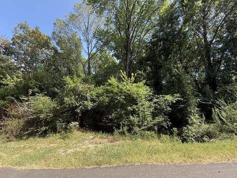 Land, PALESTINE, TX