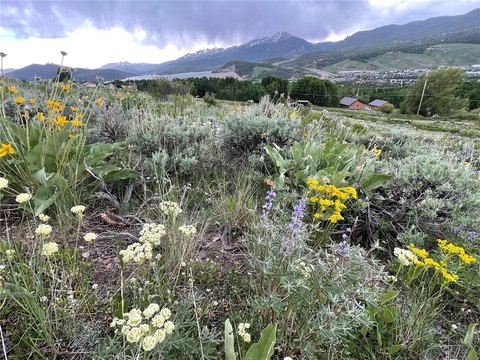 Land, SILVERTHORNE, CO