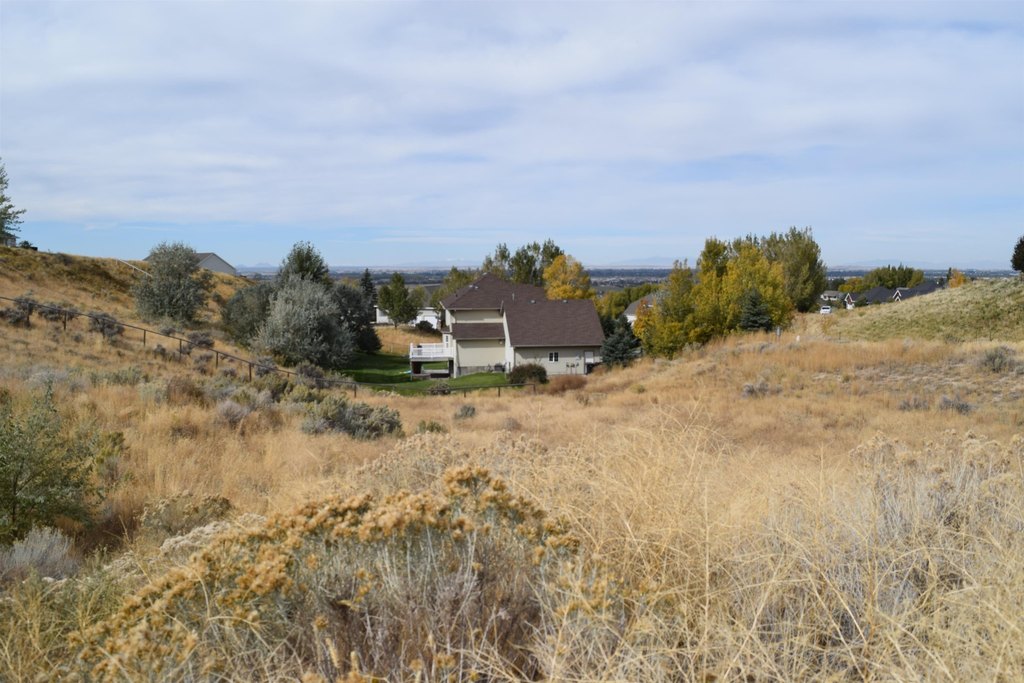 Picture 17