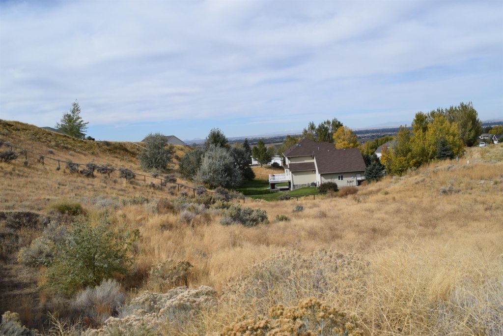 Picture 16