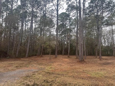 Corner Lot in River Ranch