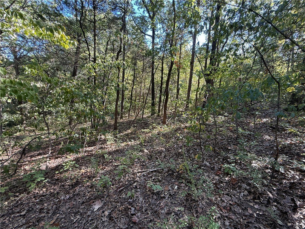 Picture 7