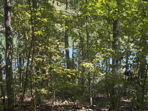 Vacant Land, Fairfield Bay, AR