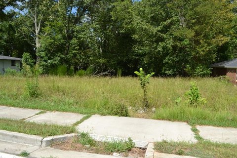 Residential Lot in Douglasville, GA