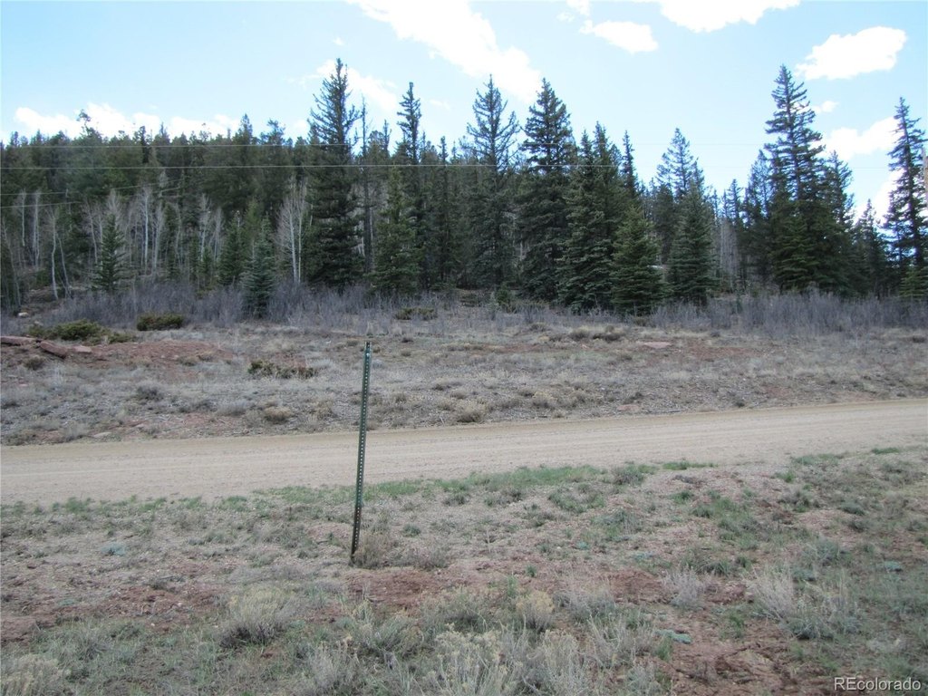 Picture 11