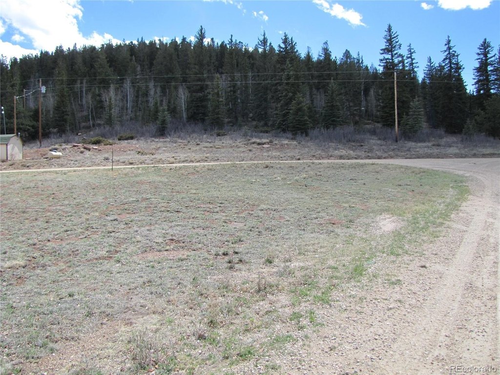 Picture 4