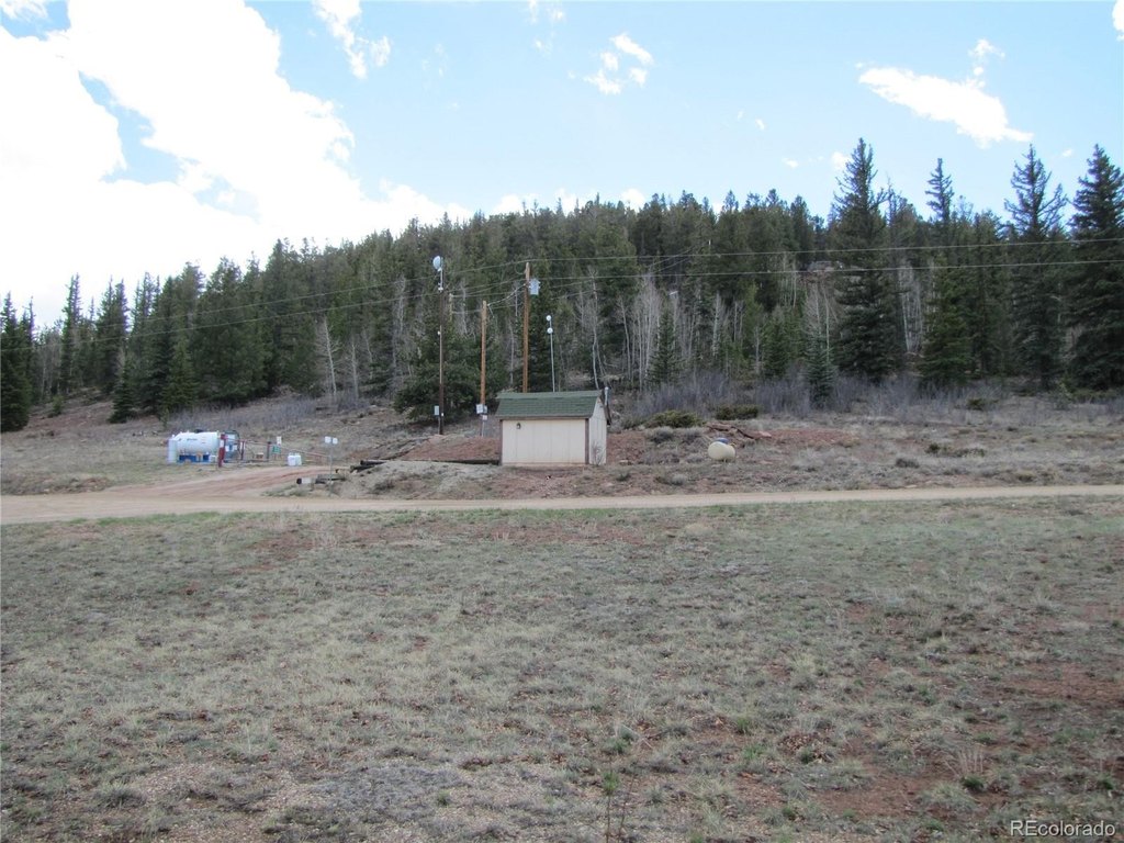 Picture 5