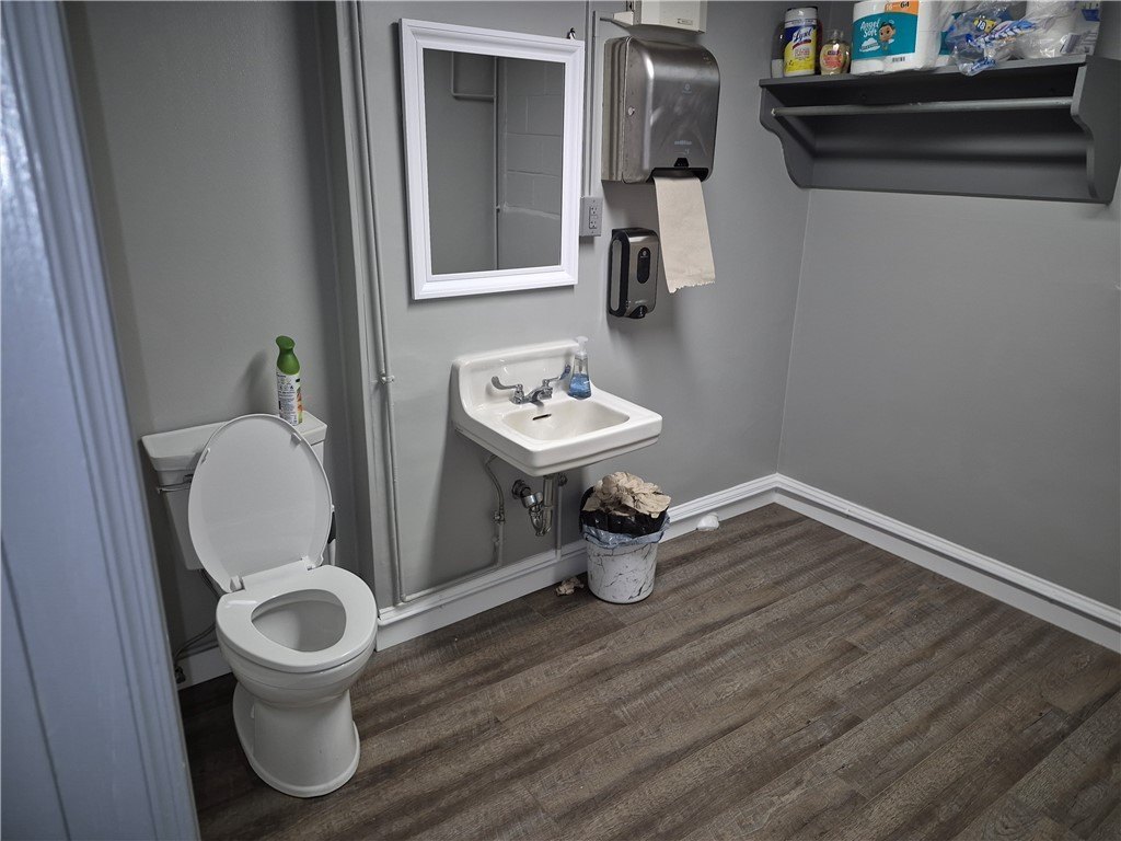 Picture 12