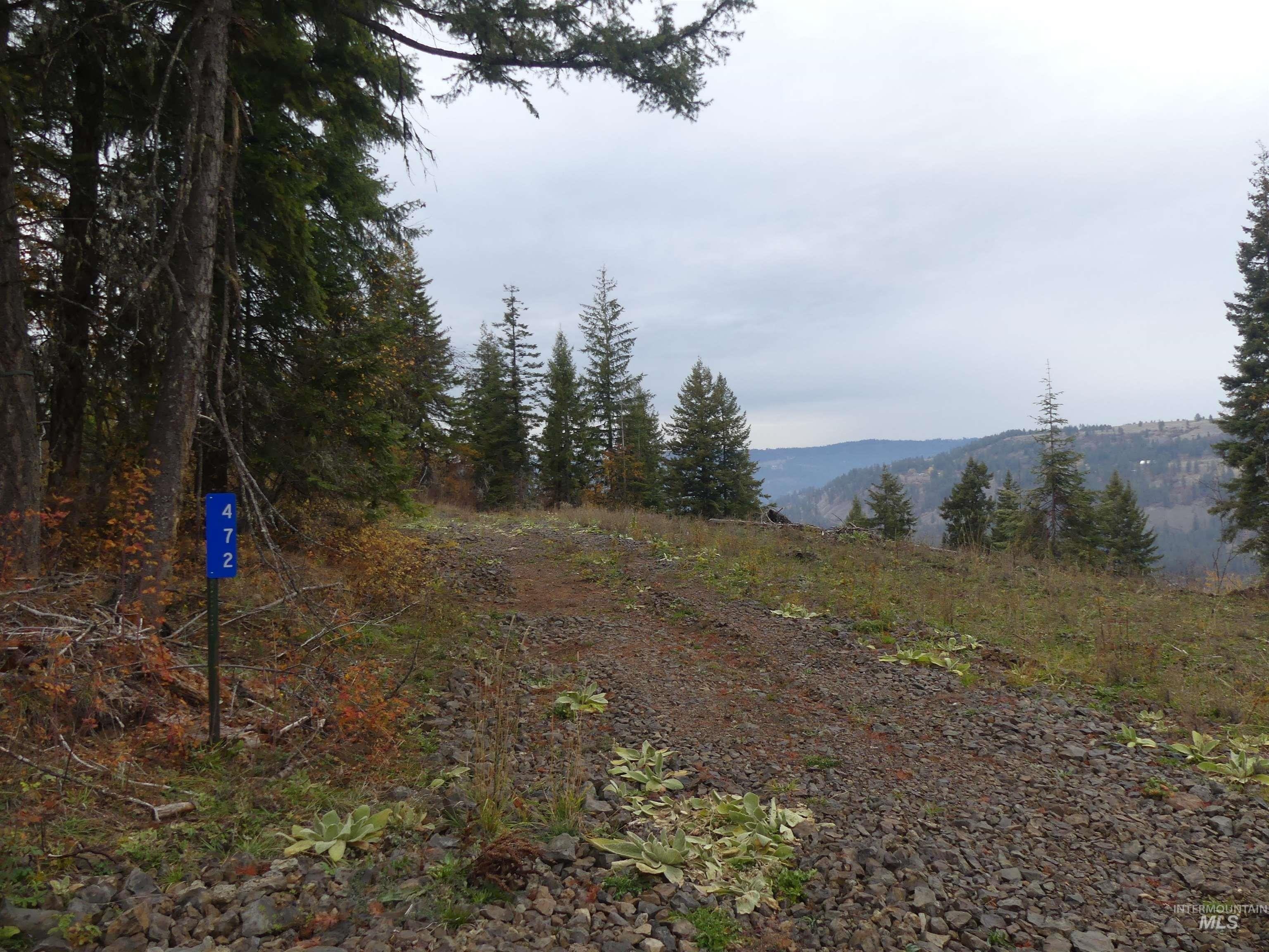 Secluded Mountain Property in Orofino