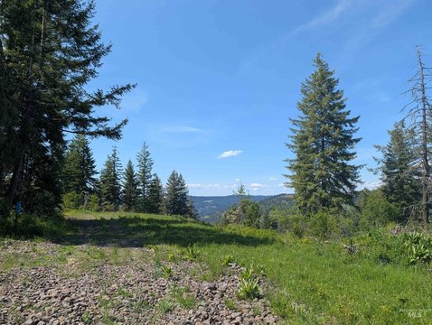 Mountain Recreation Land Parcel