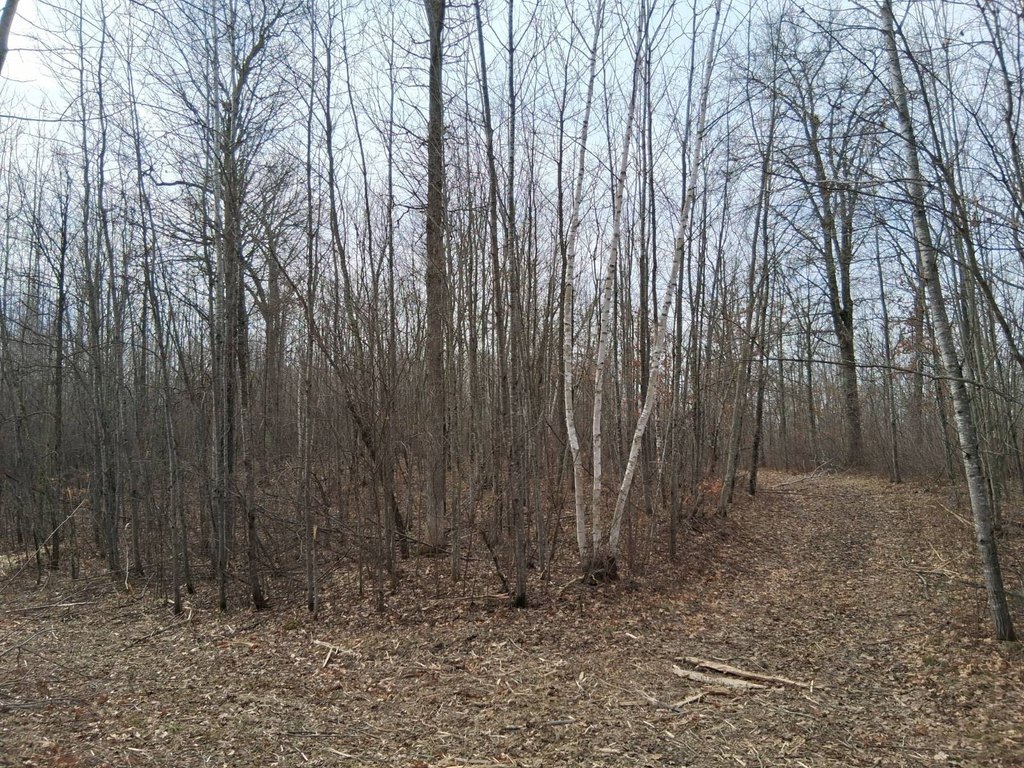 Picture 7
