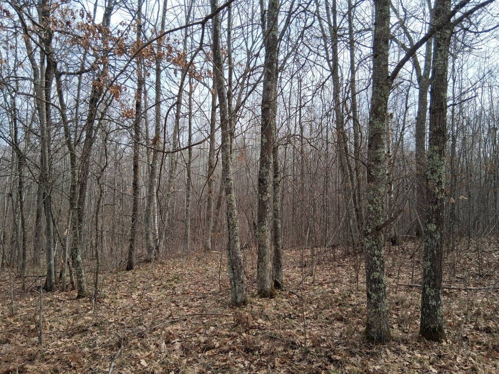 Picture 11