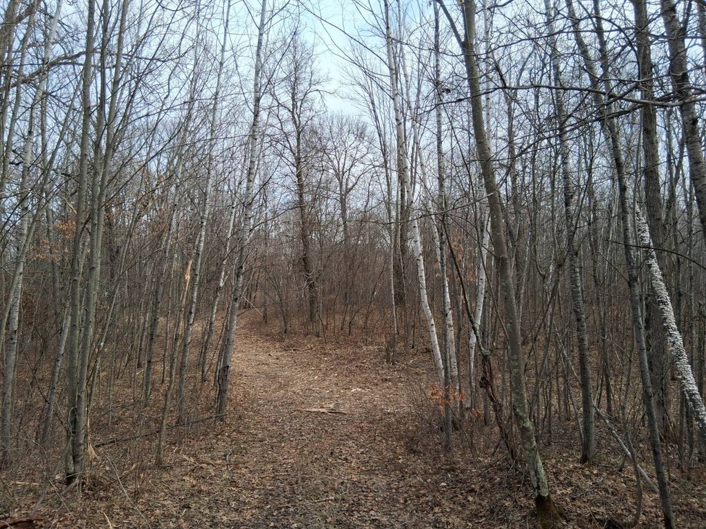 Picture 12