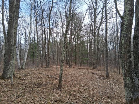 Secluded Land Near Namekagon River