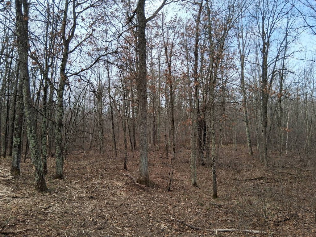 Picture 4