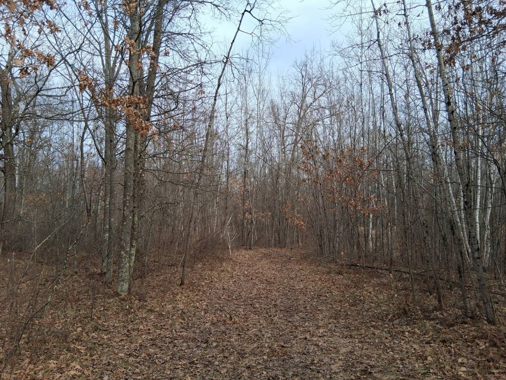 Picture 9
