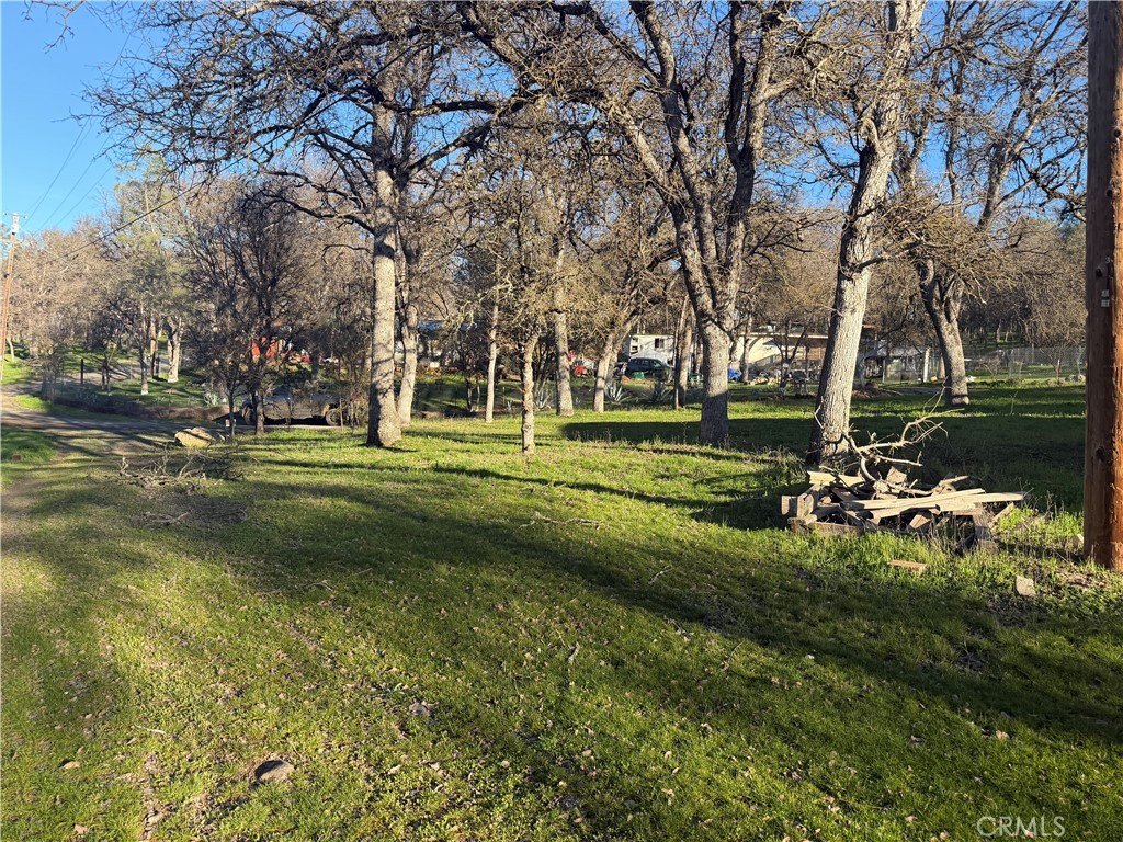 Picture 13