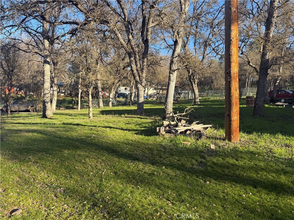 Picture 12