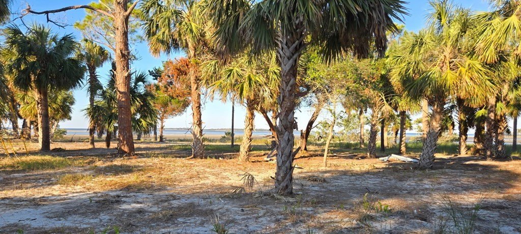Picture 15