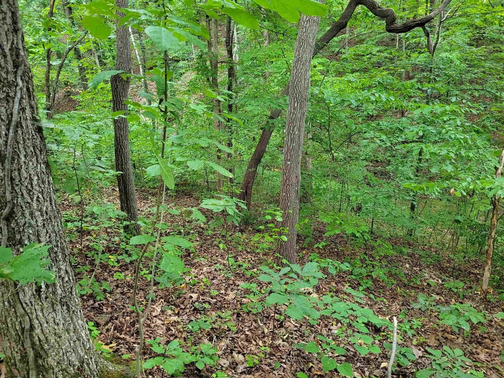 Picture 8