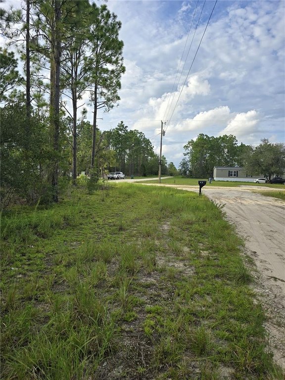 Picture 6