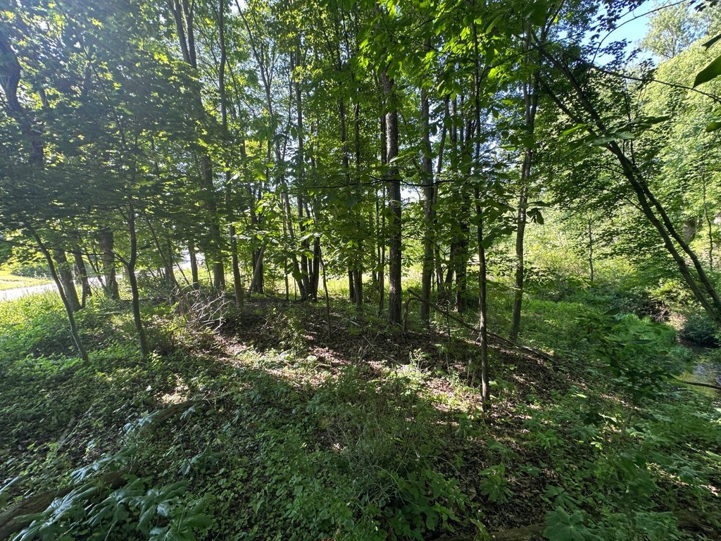 Picture 28