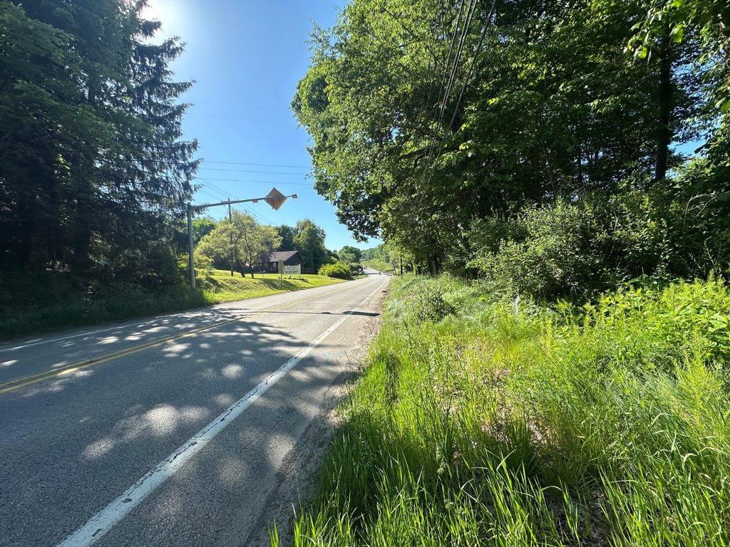 Picture 21