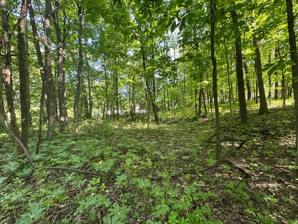Picture 20