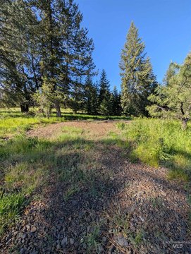 Idaho Land Near National Forest